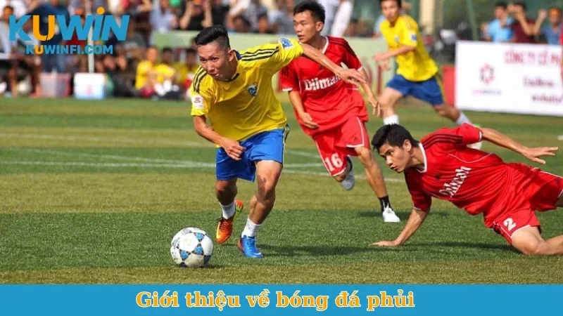 Giới thiệu về bóng đá phủi