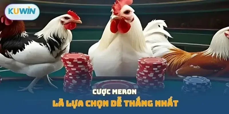Cược Meron là lựa chọn dễ thắng nhất